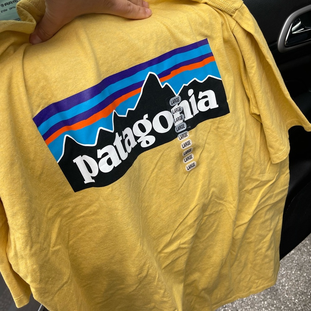 Patagonia t-shirt